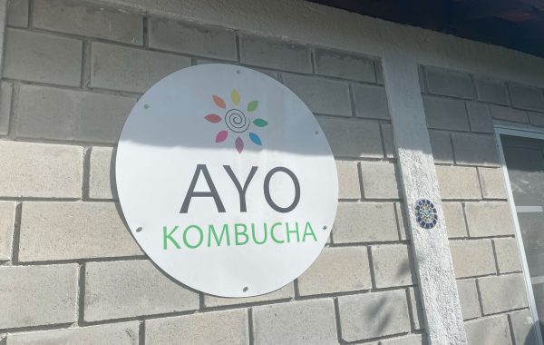 AYO KOMBUCHA (11)