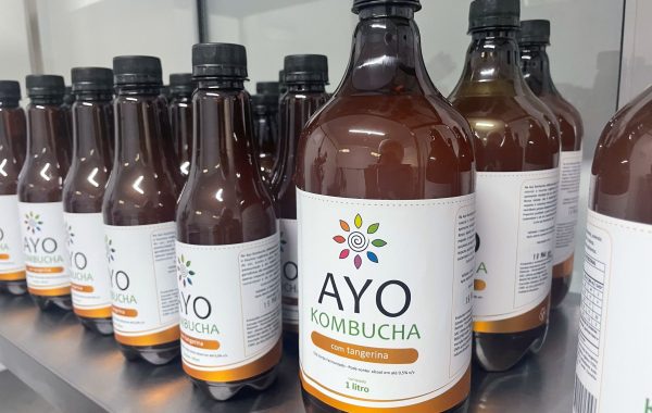 AYO KOMBUCHA (13)
