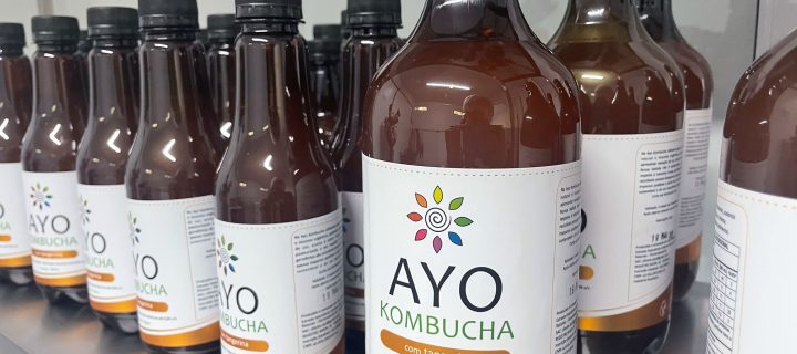 AYO KOMBUCHA (13)
