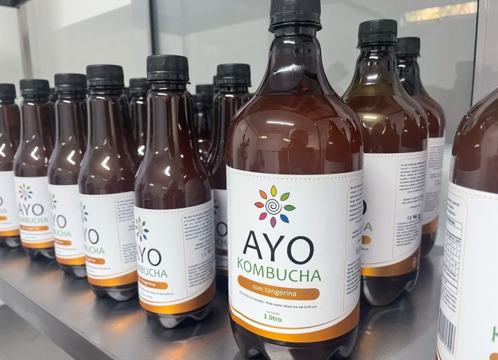 AYO KOMBUCHA (13)