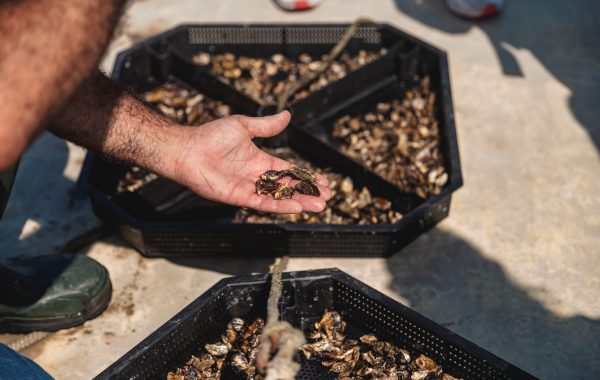 Freguesia Abril 2025 076