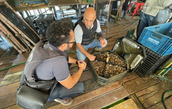 Freguesia das Ostras (1)