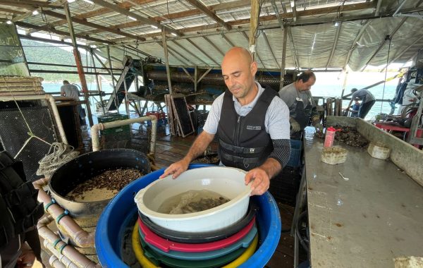 Freguesia das Ostras (2)