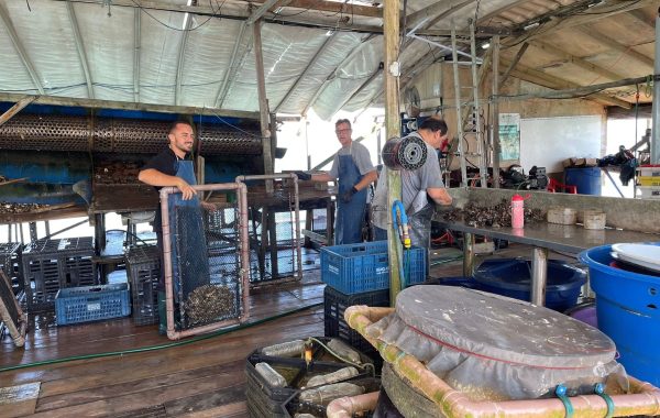 Freguesia das Ostras (27)