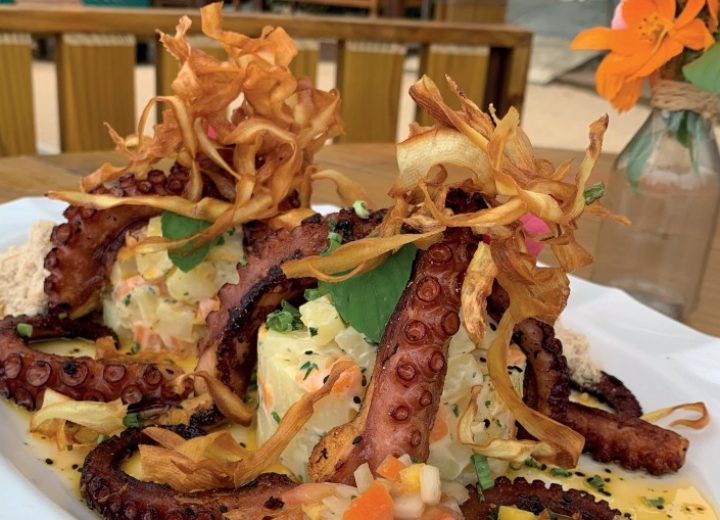 Gastro_Polvo_com_maionese