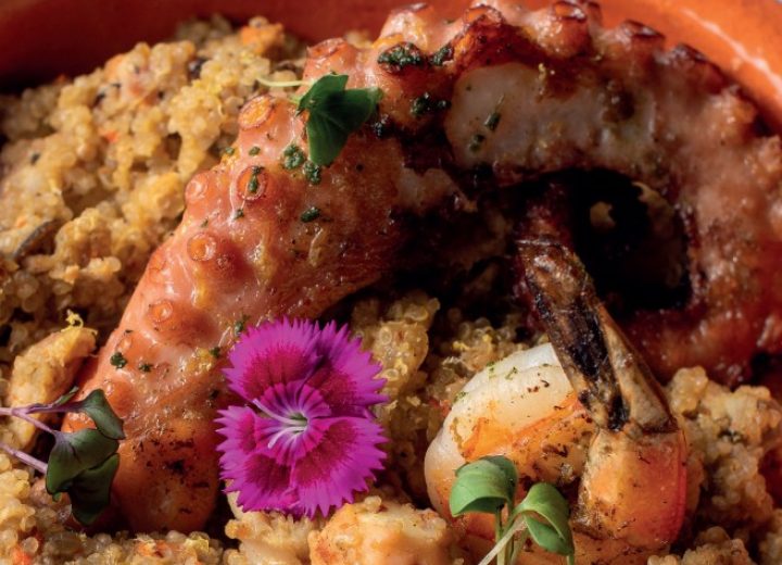 Gastro_Quinoto_manezinho