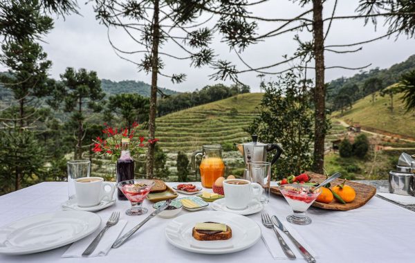 Gastronomia e Saúde. Alimentação, nutrição e conexão com a Terra (Segunda Edição)