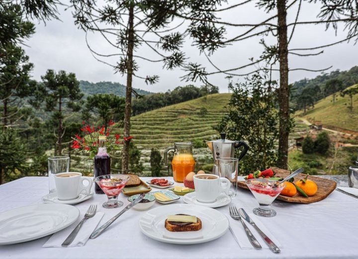 Gastronomia e Saúde. Alimentação, nutrição e conexão com a Terra (Segunda Edição)