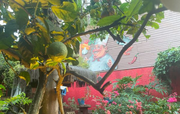 Le Bistro_Chef Marinho (3)