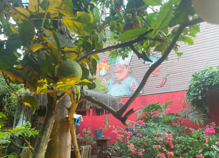 Le Bistro_Chef Marinho (3)