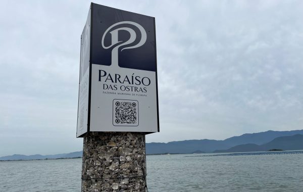 Paraíso das Ostras (1)