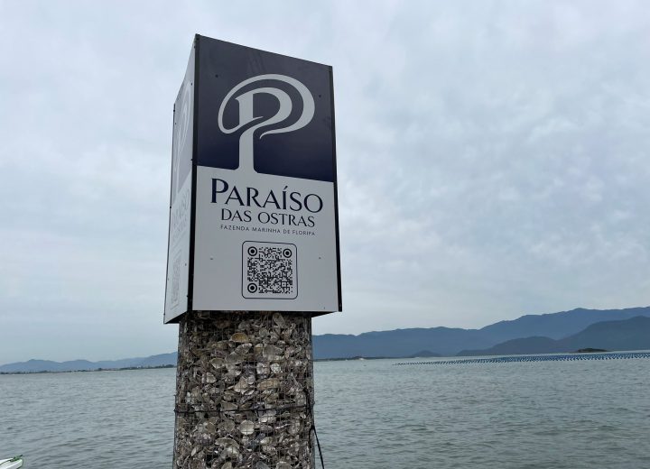 Paraíso das Ostras (1)
