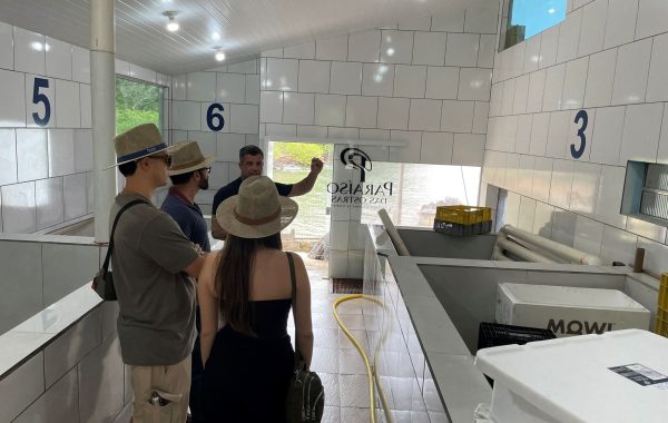 Paraíso das Ostras (18)