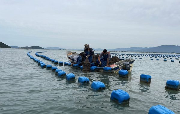 Paraíso das Ostras (3)