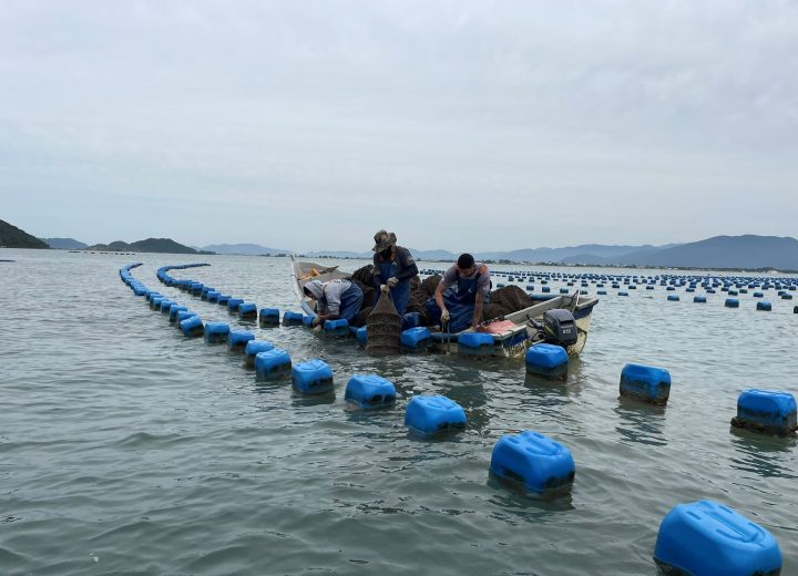 Paraíso das Ostras (3)