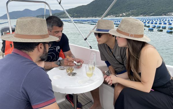 Paraíso das Ostras (7)