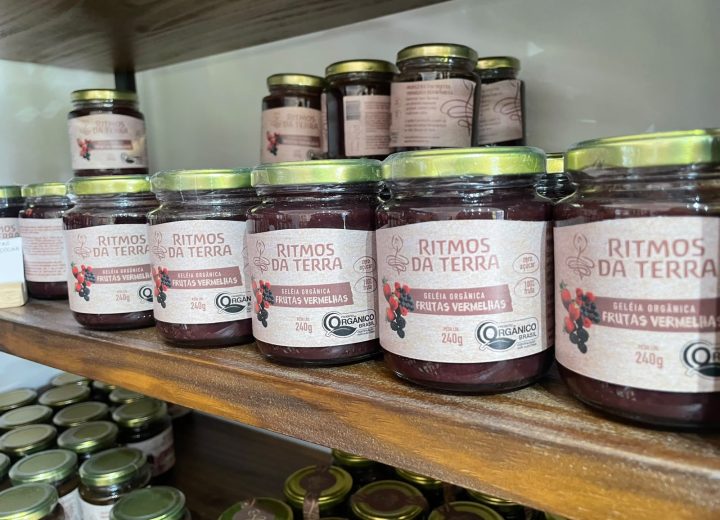 Sitio Ritmos da terra (6)