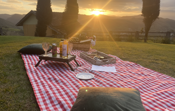 ecomirante piquenique (2)